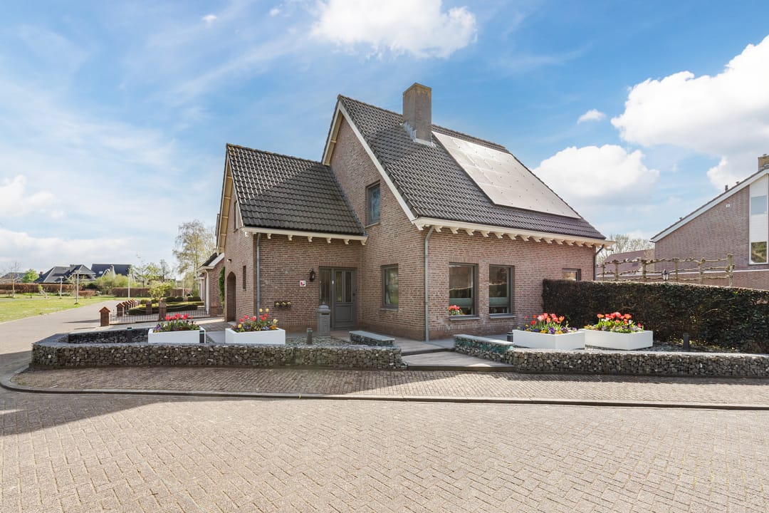 Foto 7 van Walnoot 2