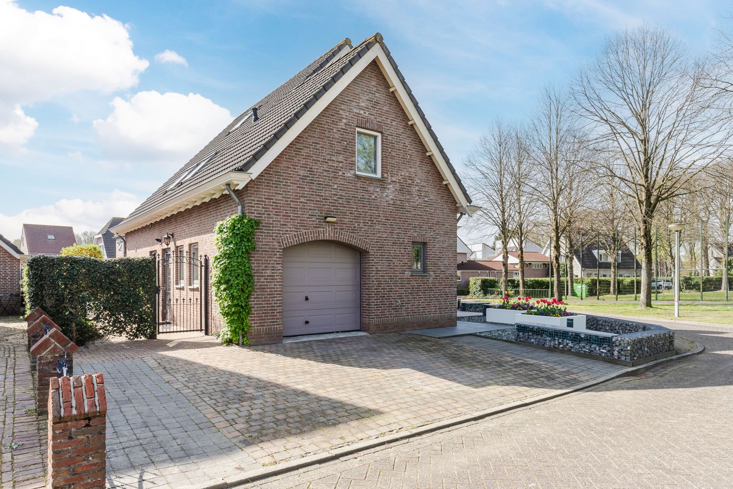 Foto 10 van Walnoot 2