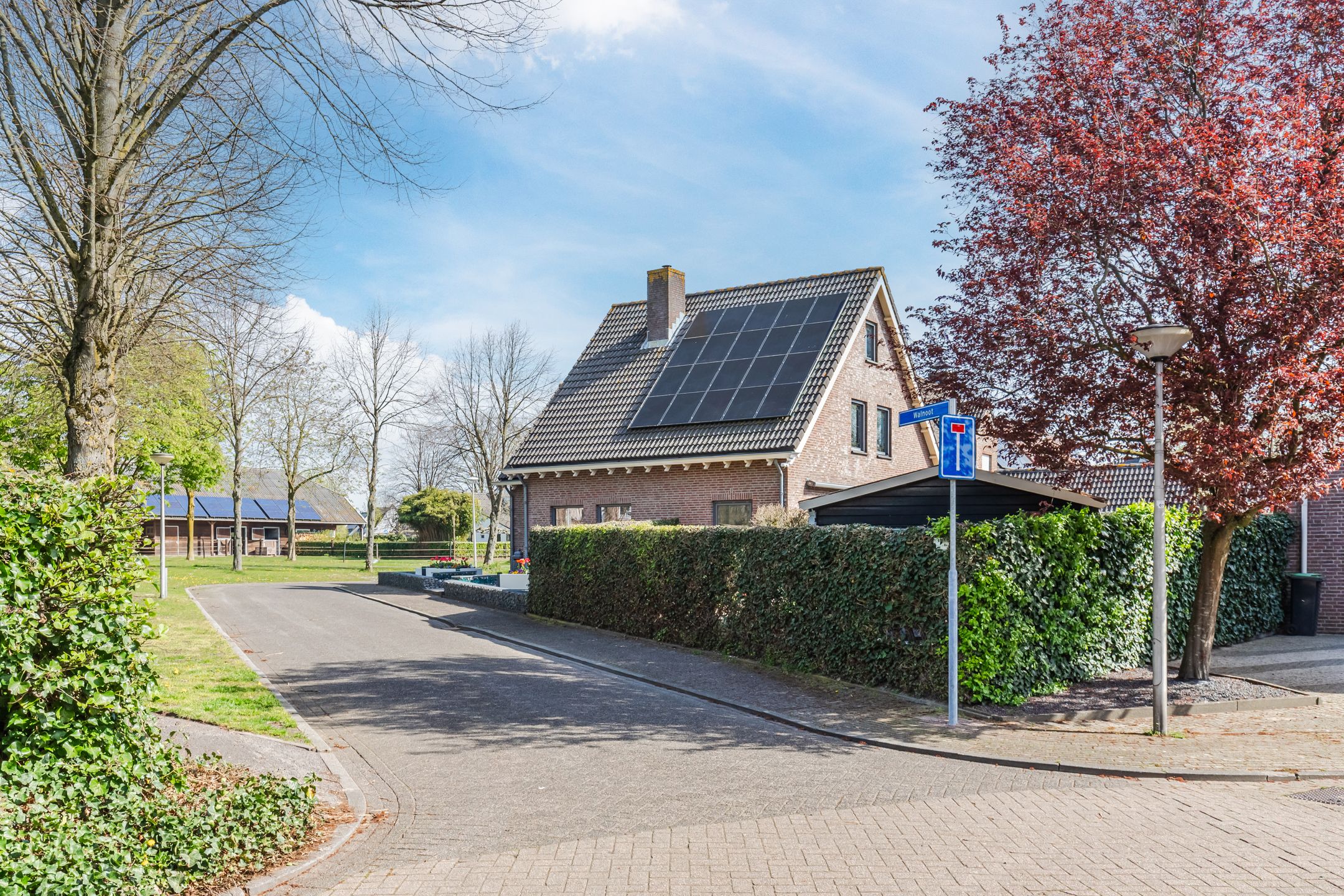 Foto 6 van Walnoot 2