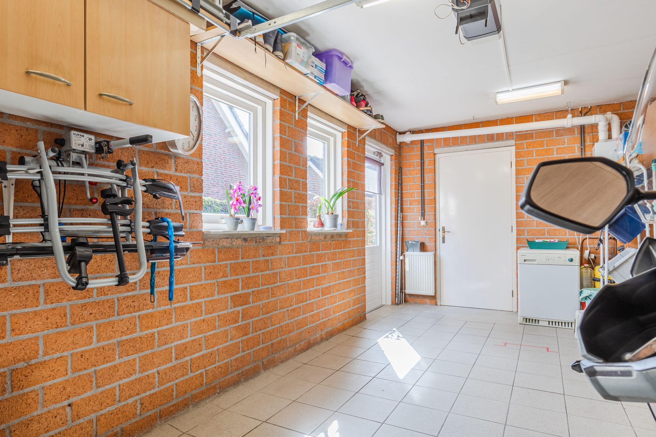 Foto 30 van Walnoot 2