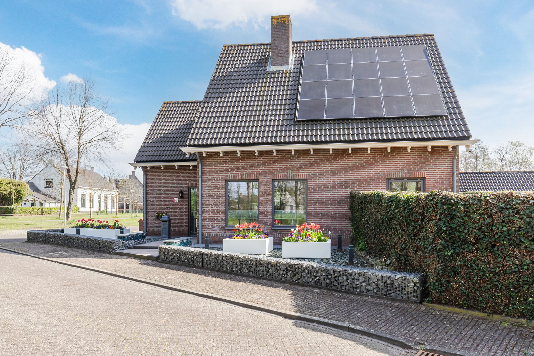 Foto 9 van Walnoot 2