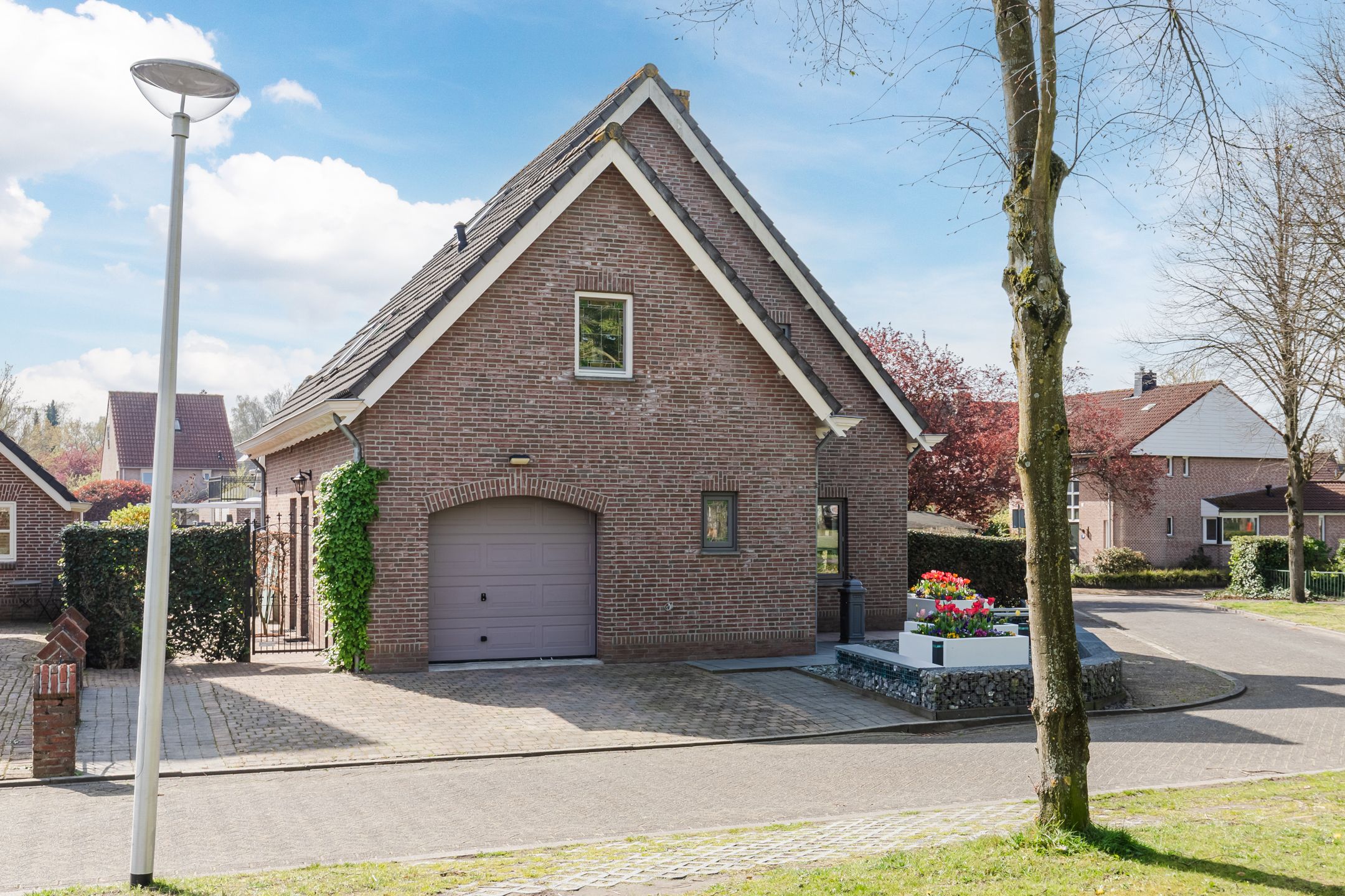 Foto 12 van Walnoot 2