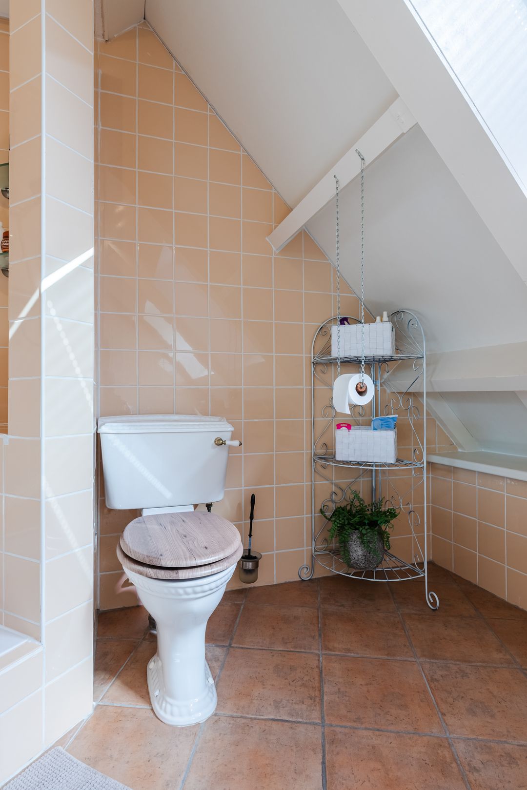 Foto 43 van Walnoot 2