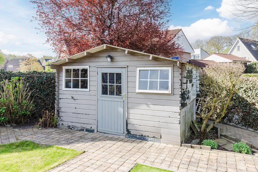 Foto 53 van Walnoot 2