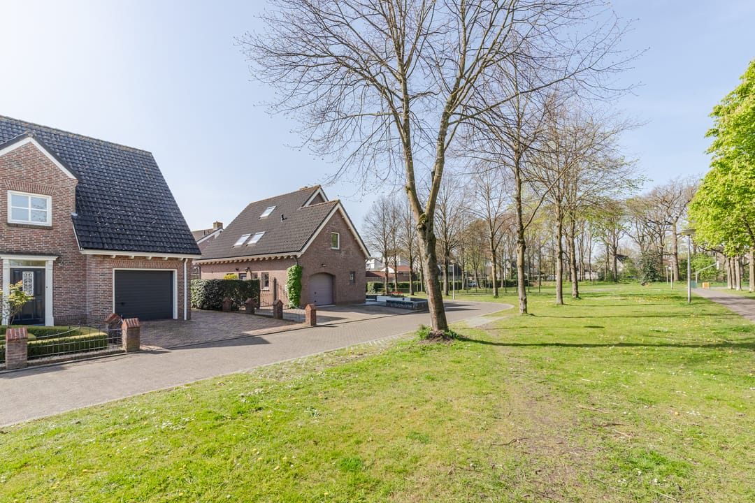 Foto 62 van Walnoot 2