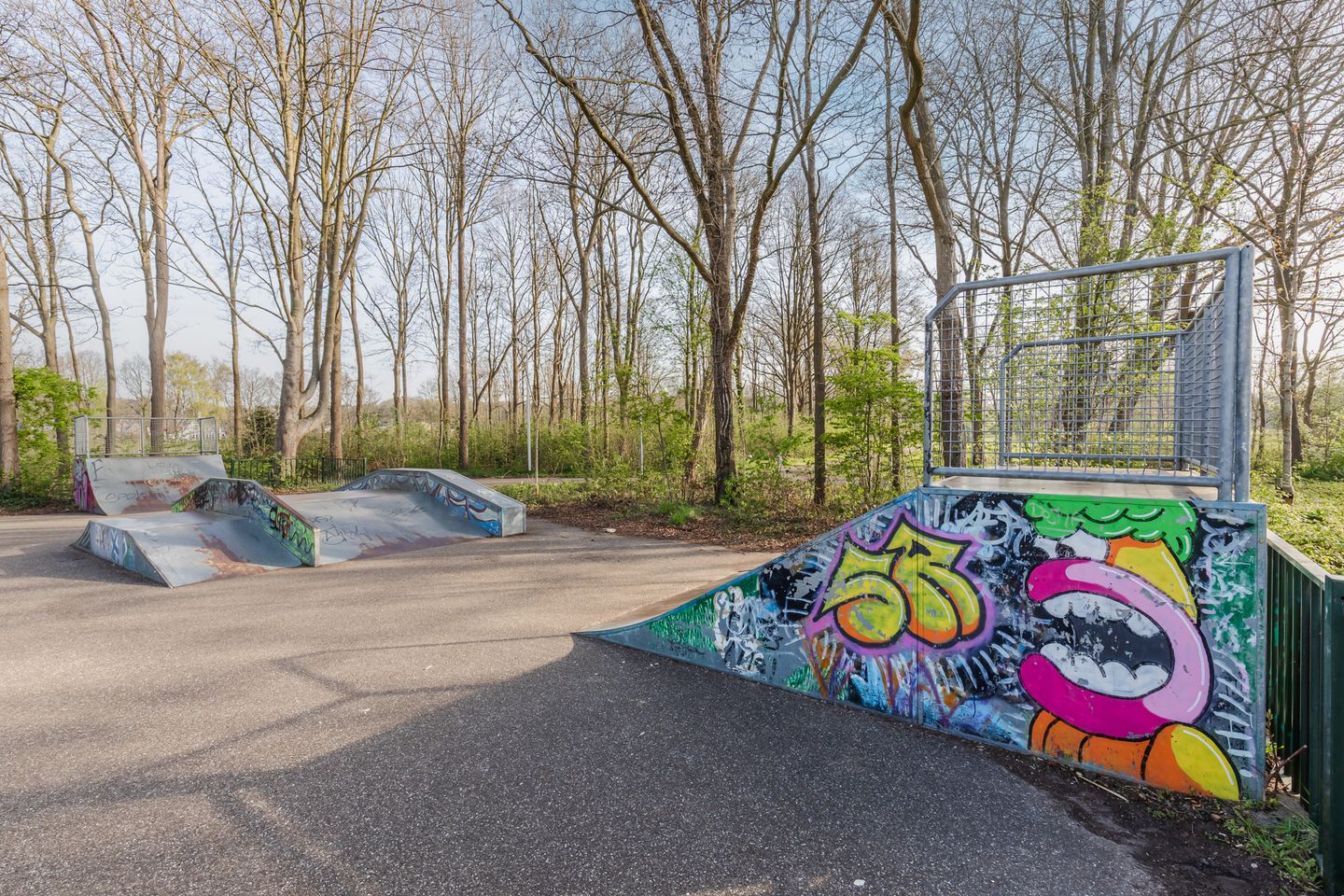 Foto 65 van Walnoot 2