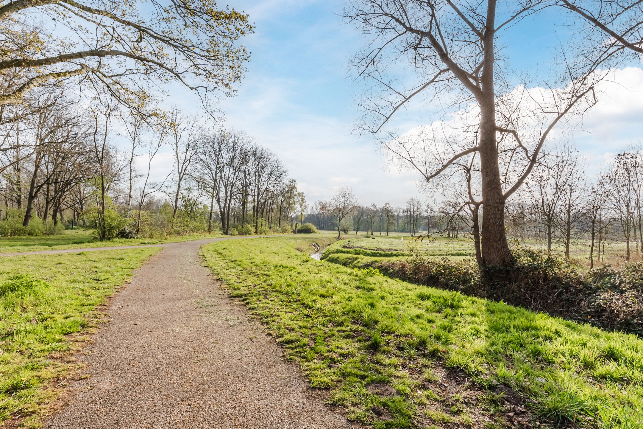 Foto 66 van Walnoot 2