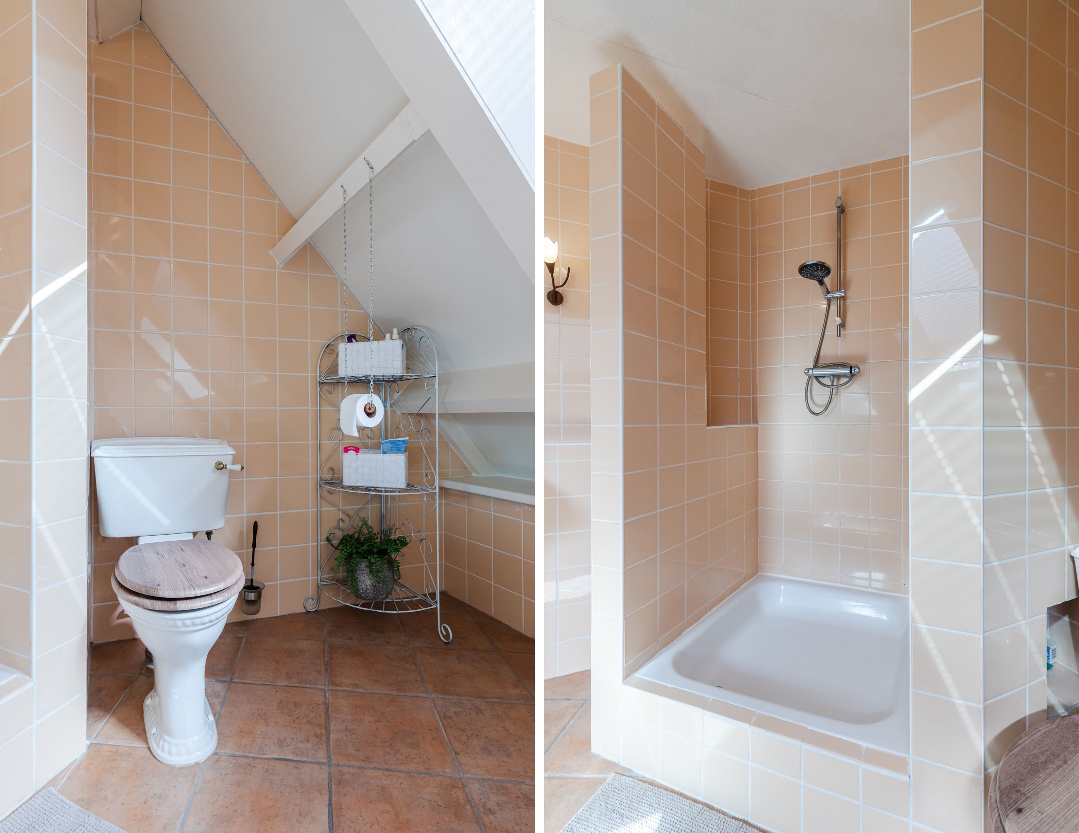 Foto 45 van Walnoot 2