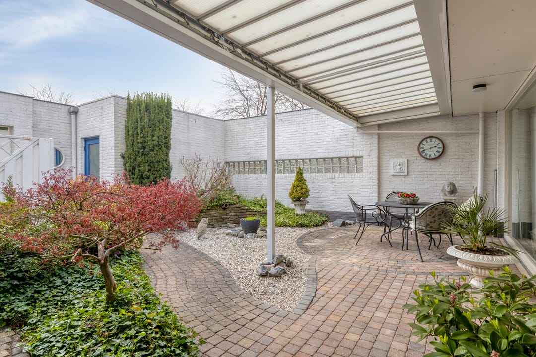 Foto 2 van Penningkruid 32-A