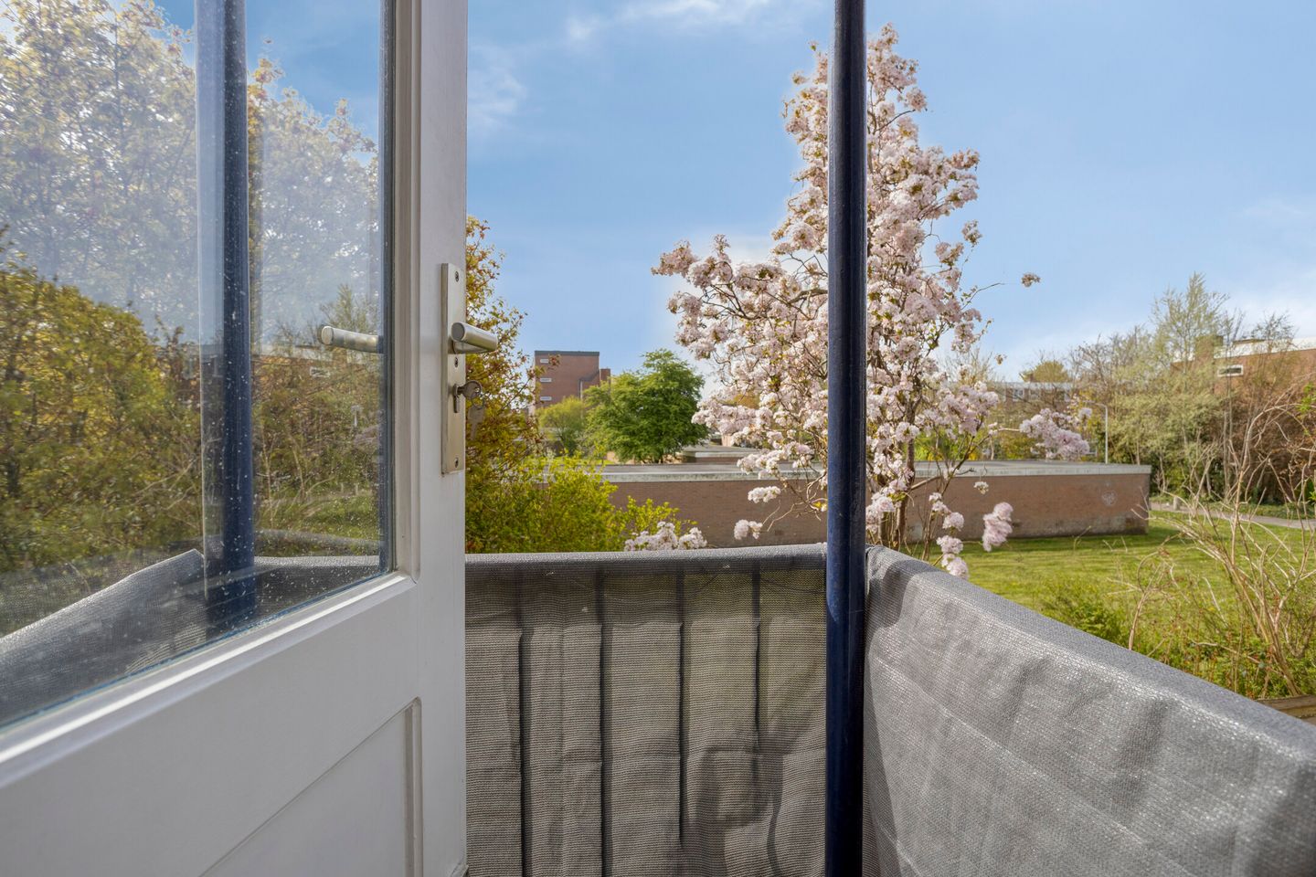 Foto 4 van Scherhemstraat 11