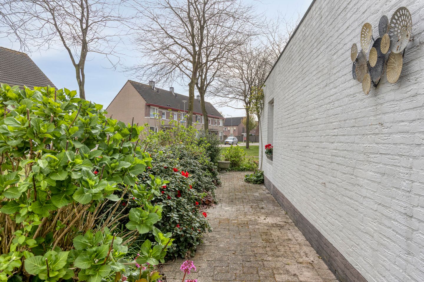 Foto 35 van Penningkruid 32-A