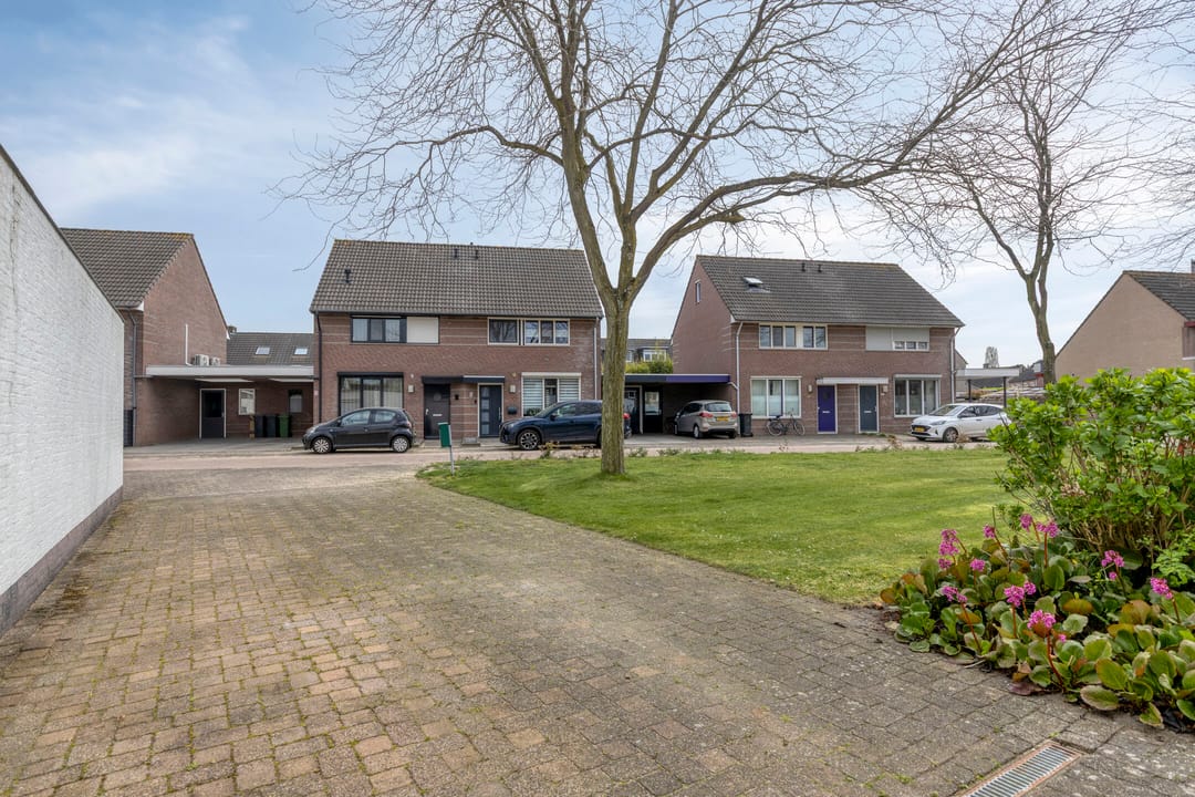 Foto 37 van Penningkruid 32-A