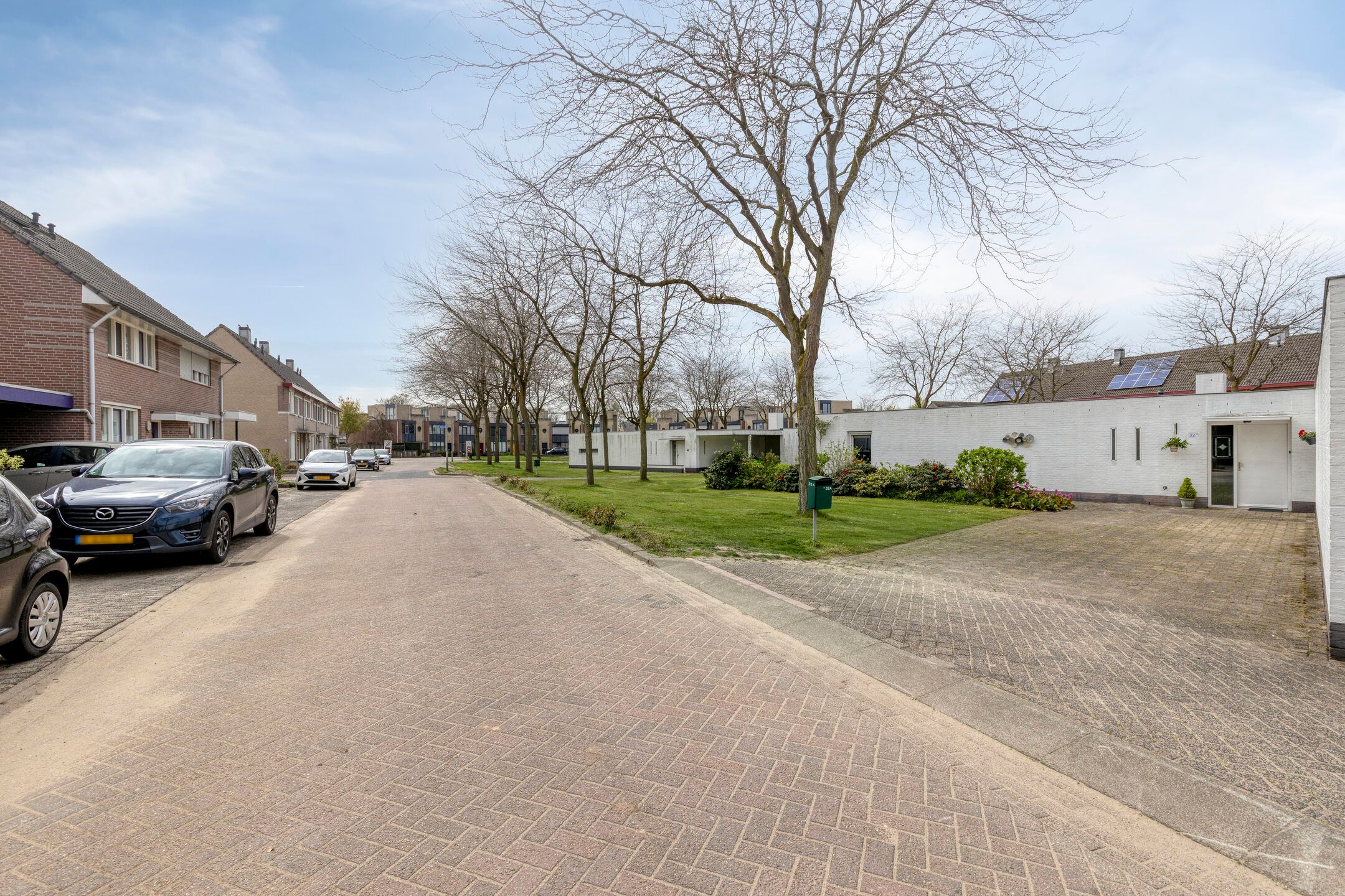 Foto 39 van Penningkruid 32-A