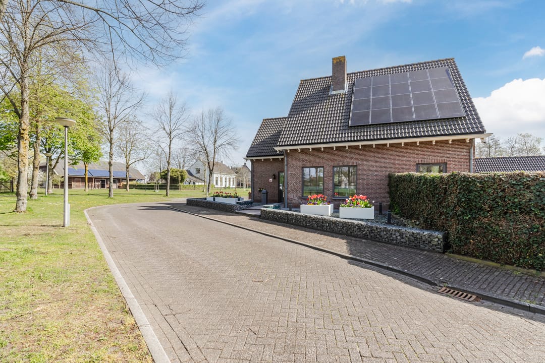 Foto 8 van Walnoot 2