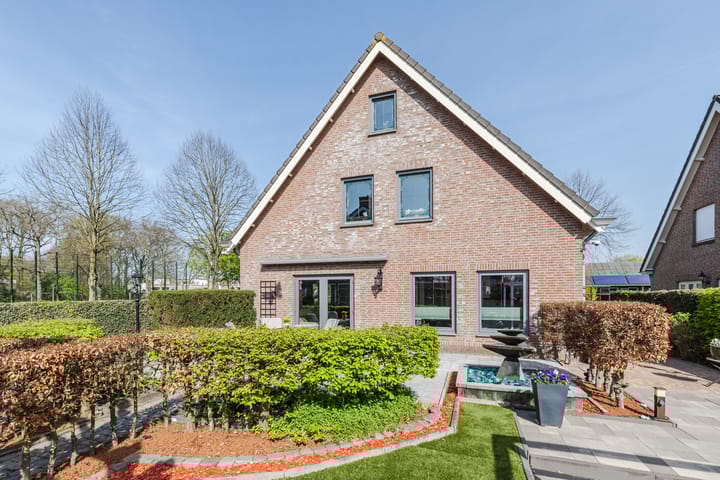 Foto 5 van Walnoot 2