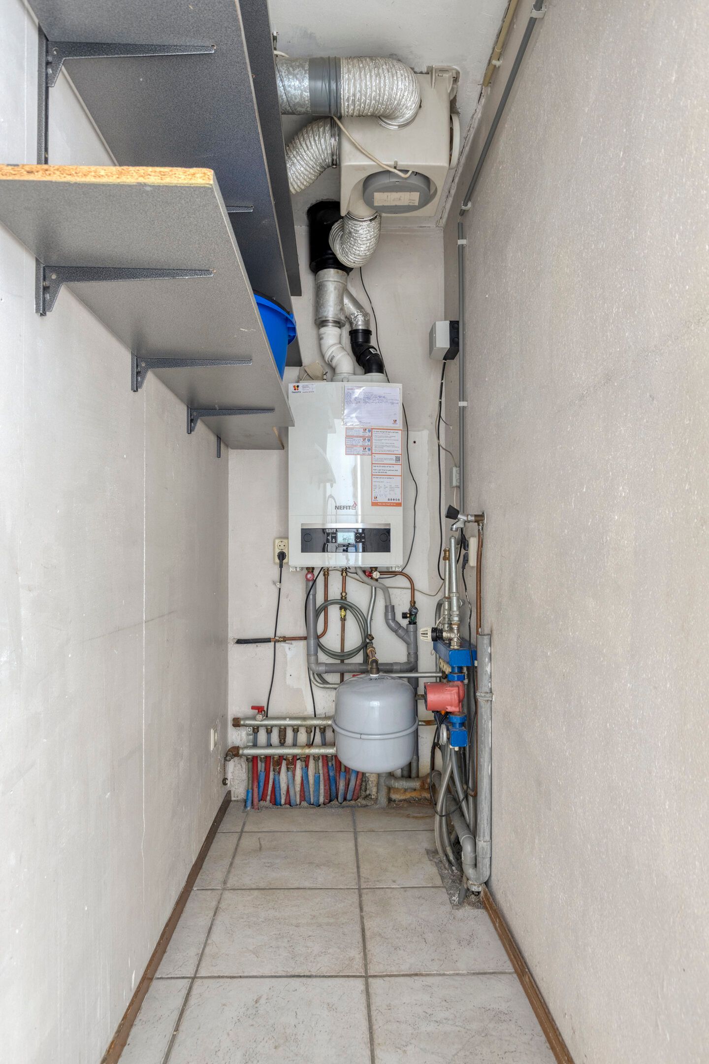 Foto 10 van Penningkruid 32-A