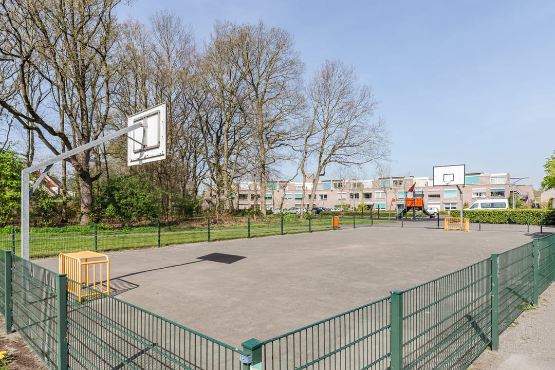 Foto 67 van Walnoot 2