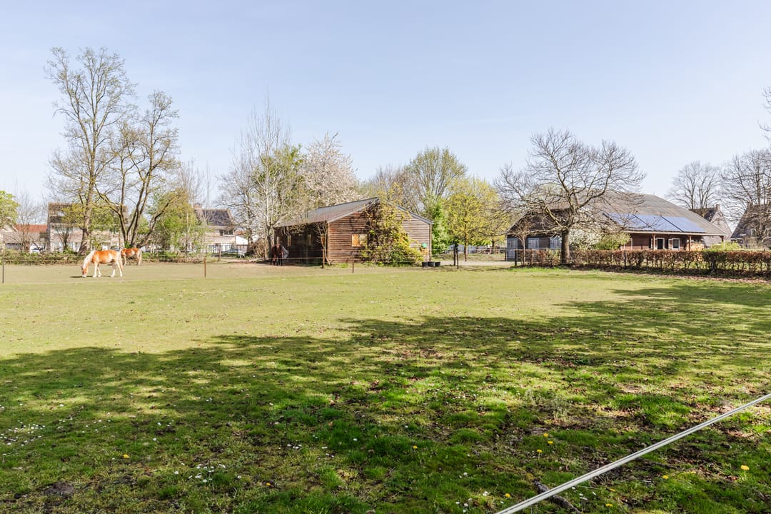 Foto 68 van Walnoot 2