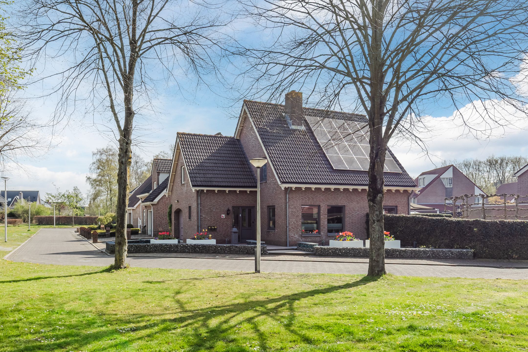 Foto 63 van Walnoot 2