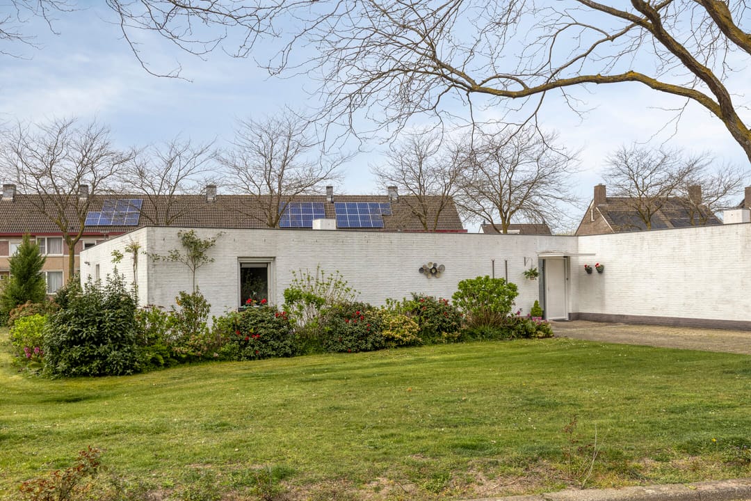 Foto 1 van Penningkruid 32-A