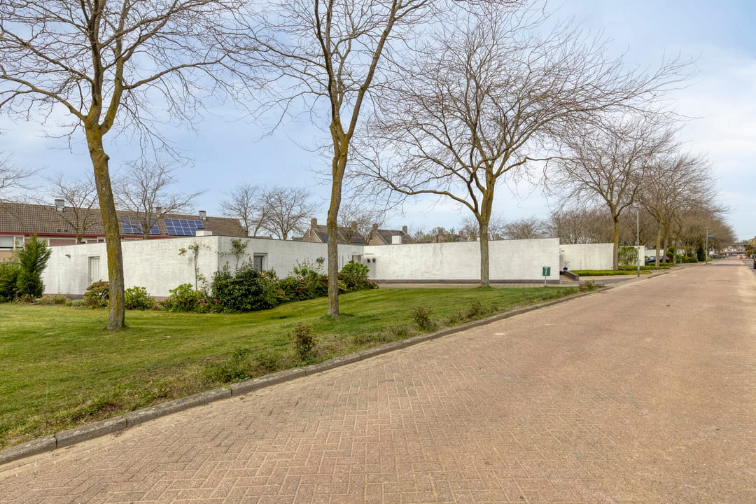 Foto 38 van Penningkruid 32-A