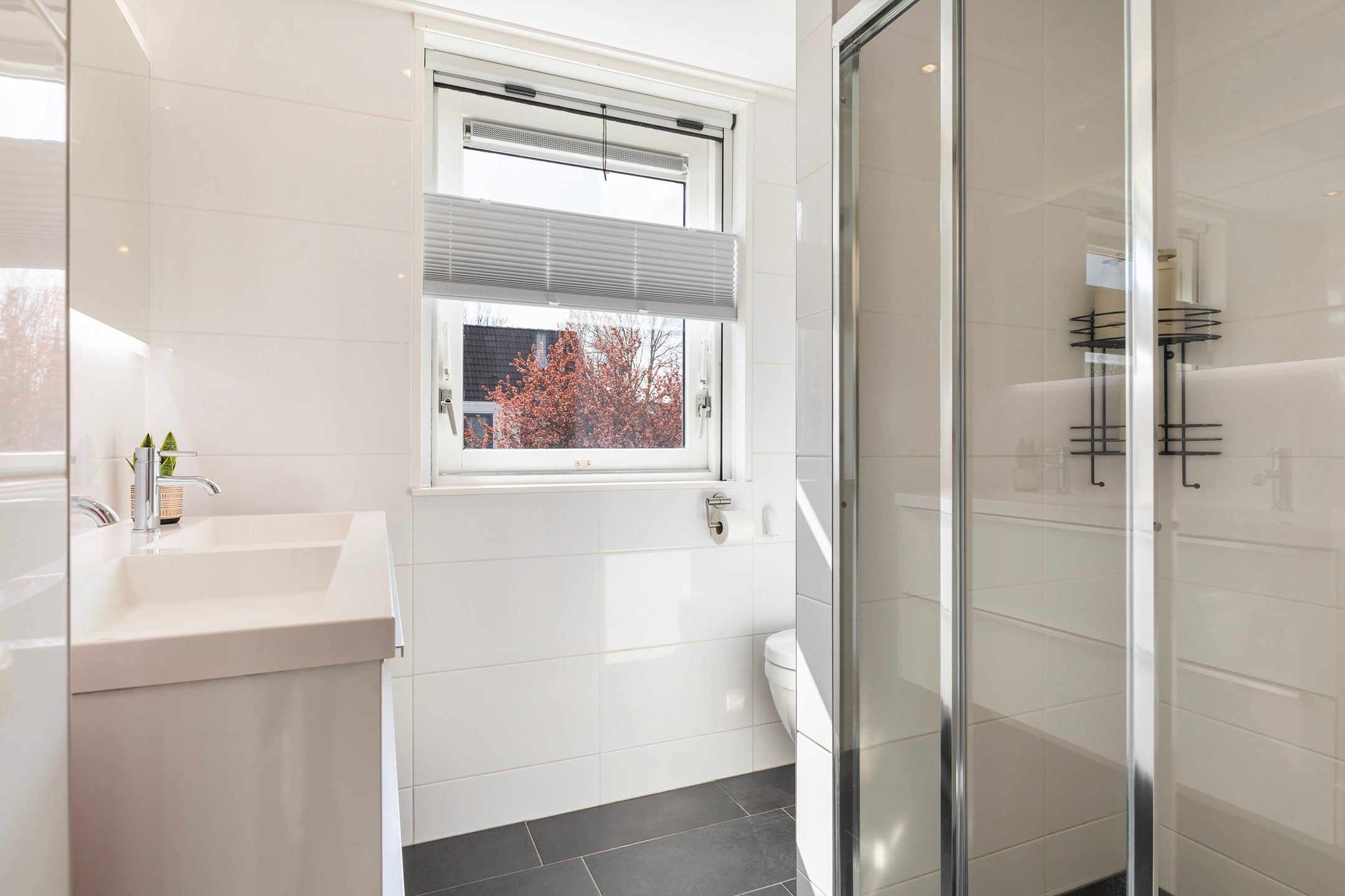 Foto 30 van Papingastins 10