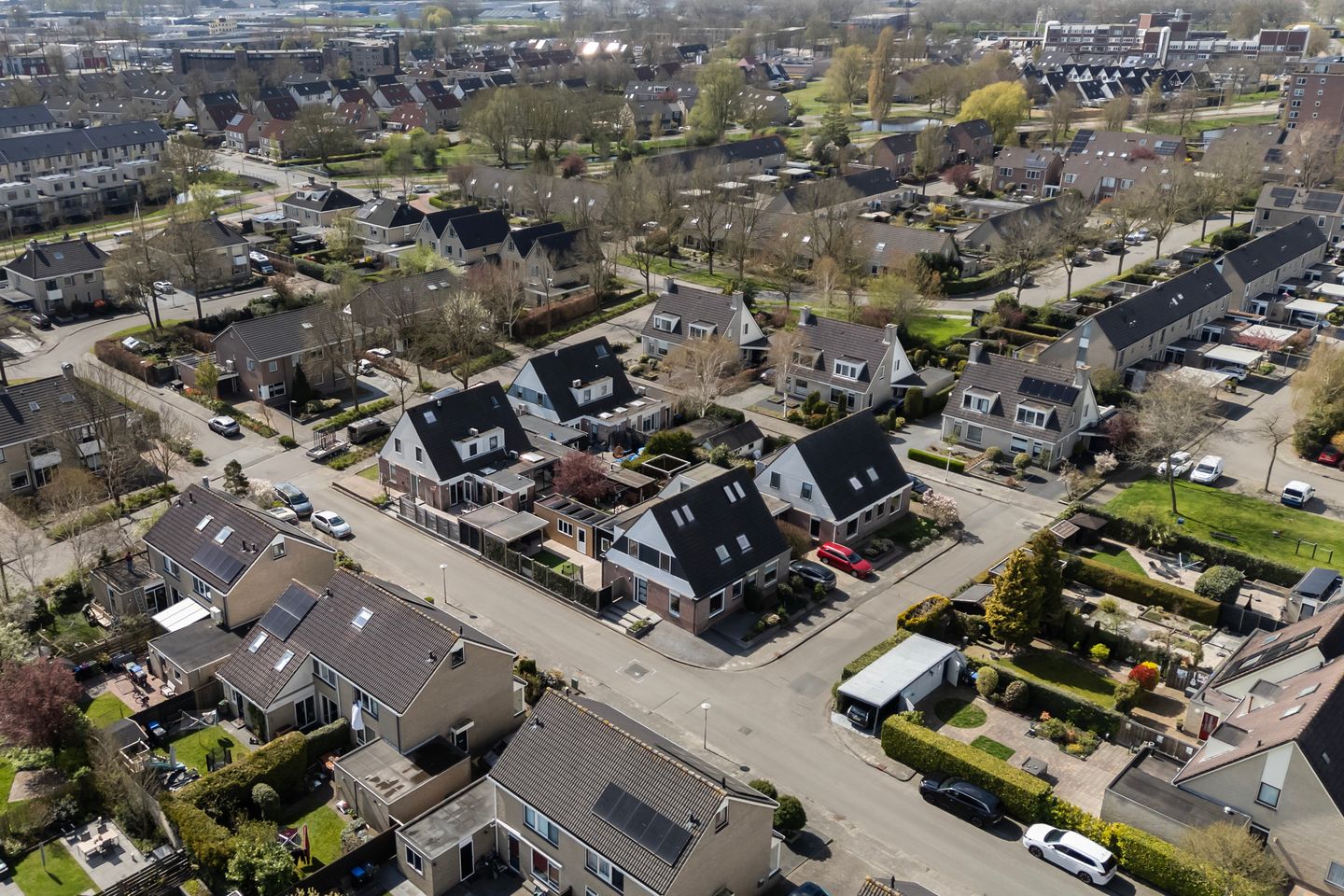 Foto 5 van Papingastins 10