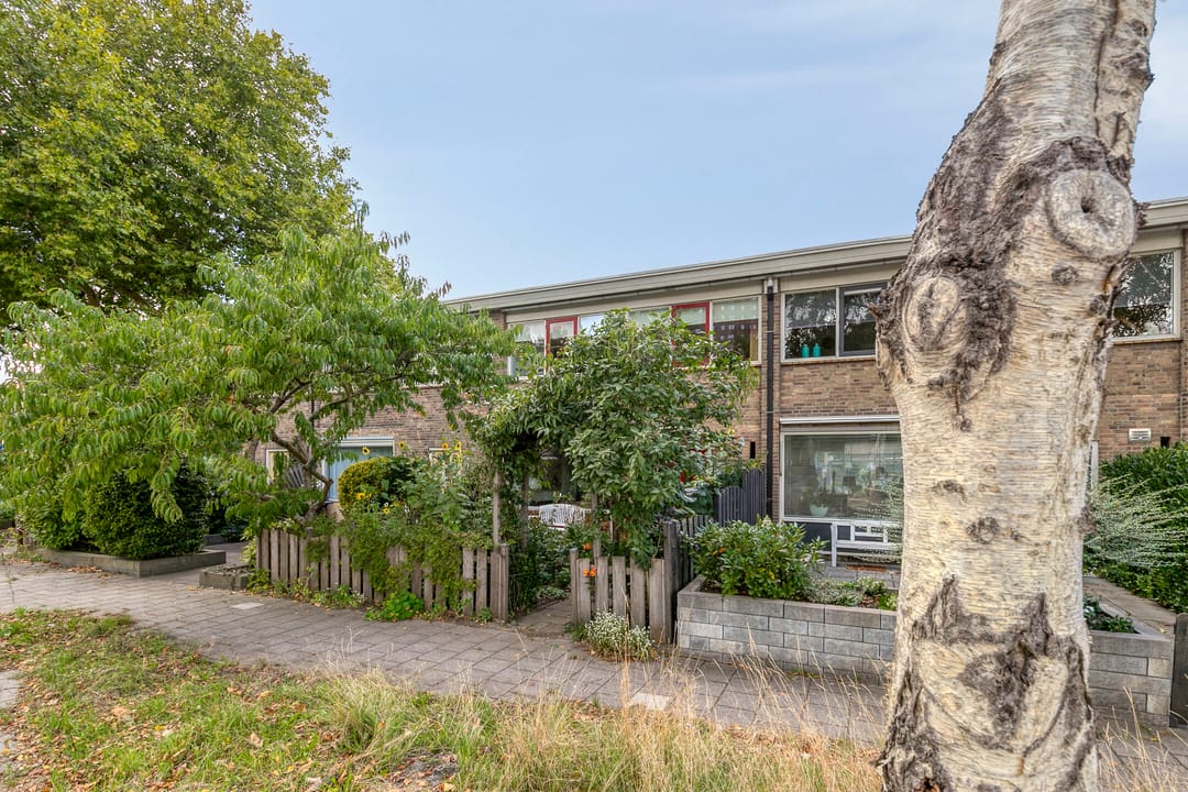 Foto 31 van Veldbloemenweg 5