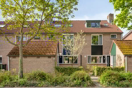 Wilgehaantje thumbnail