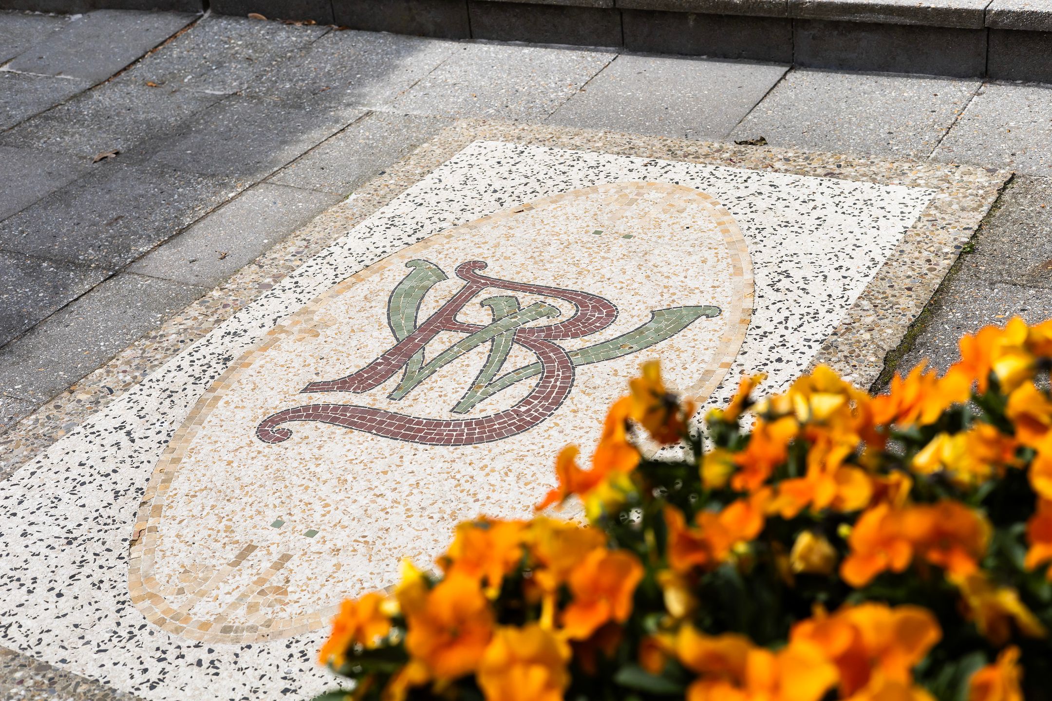 Foto 54 van Loseweg 242