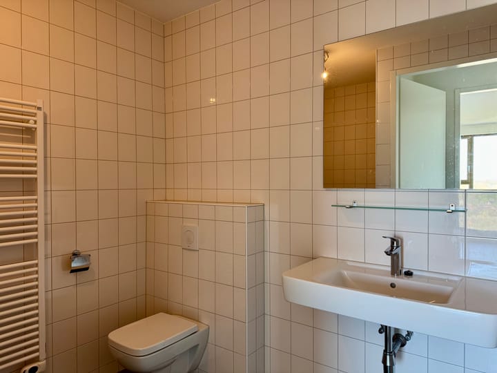 Foto 5 van Aalscholverpad 155