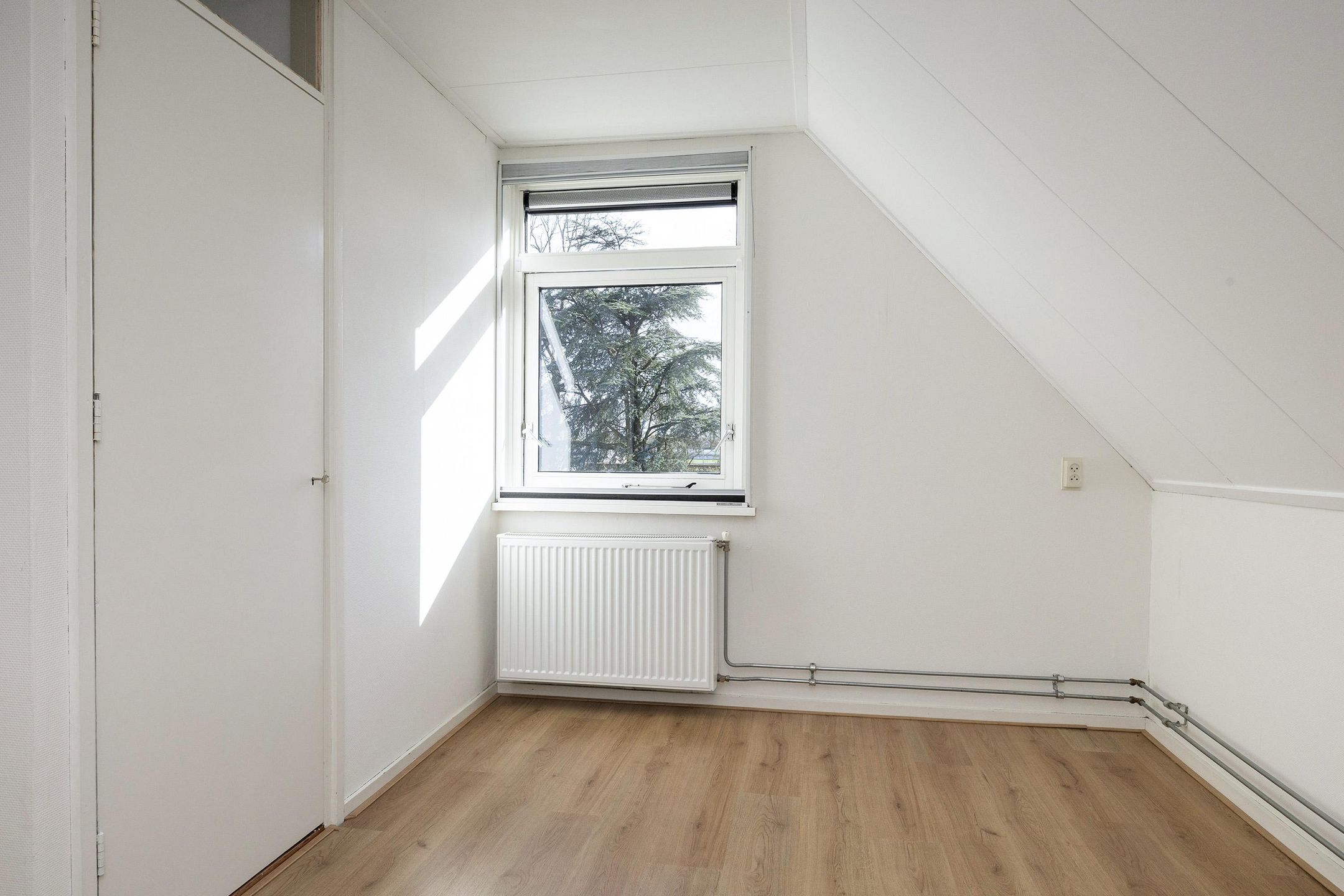 Photo 12 of Oerdwars 14