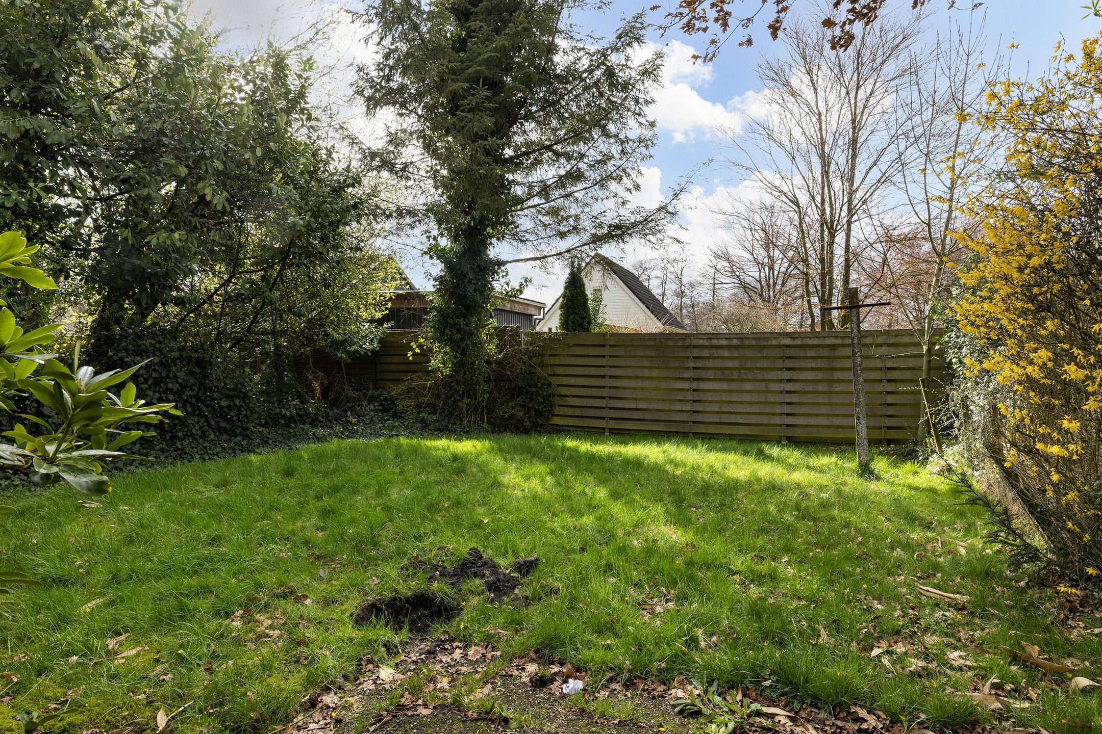 Photo 18 of Oerdwars 14