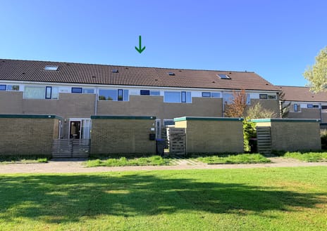 H Algraplein thumbnail