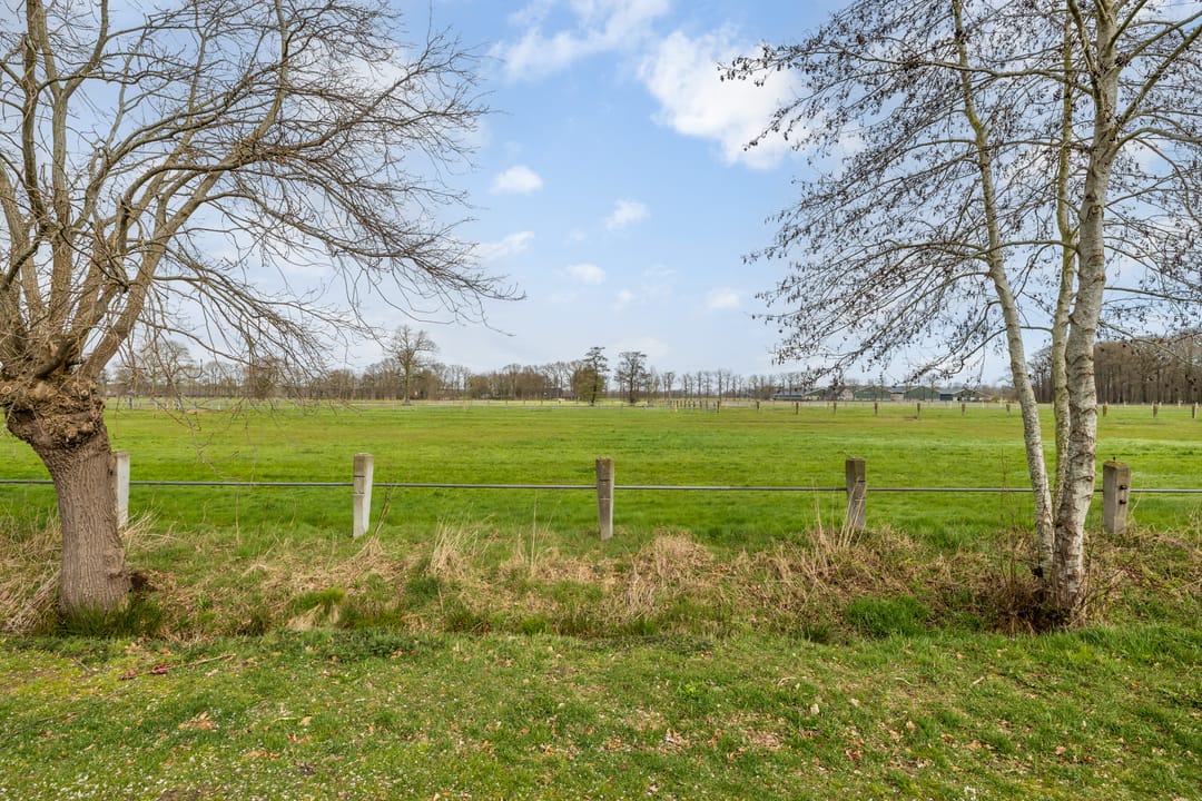 Foto 38 van Lindenlaan 7