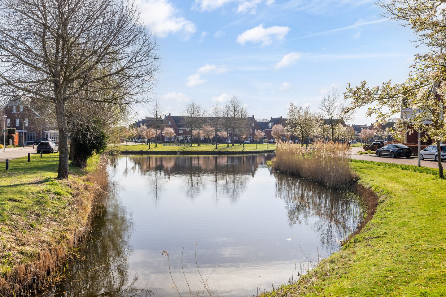 Foto 40 van Lindenlaan 7