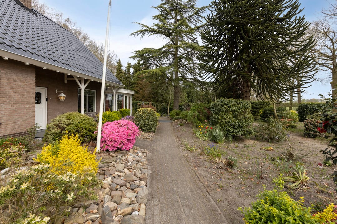 Photo 47 of Kinderstraatje 1