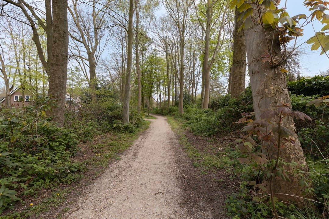 Photo 61 of Kinderstraatje 1