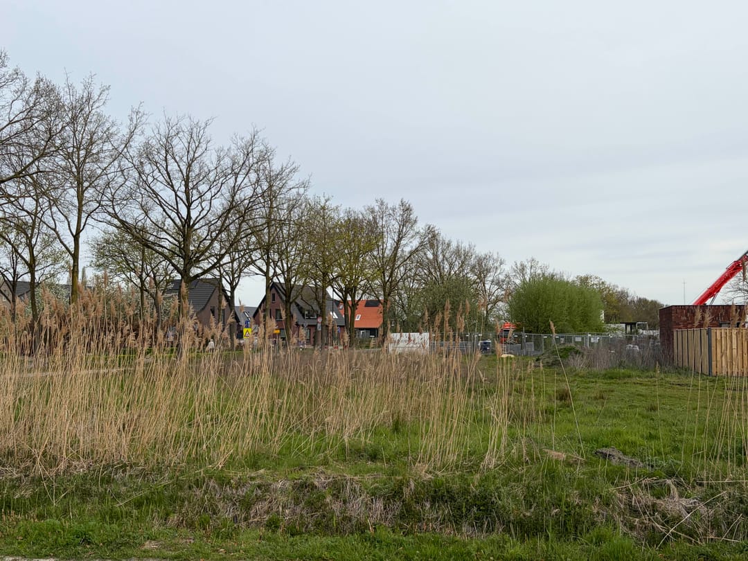 Foto 2 van Maria de Vriesstraat