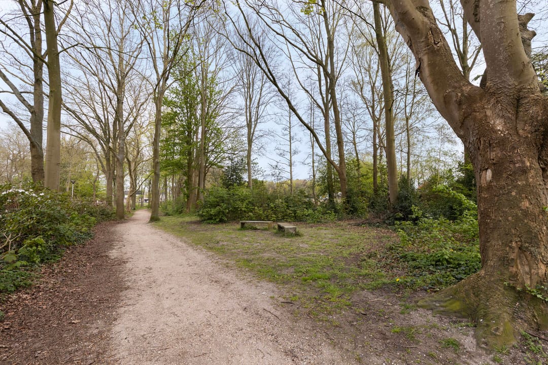 Photo 62 of Kinderstraatje 1