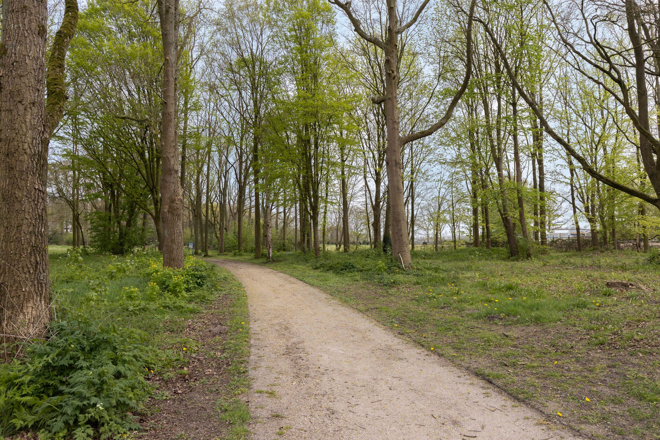 Photo 63 of Kinderstraatje 1