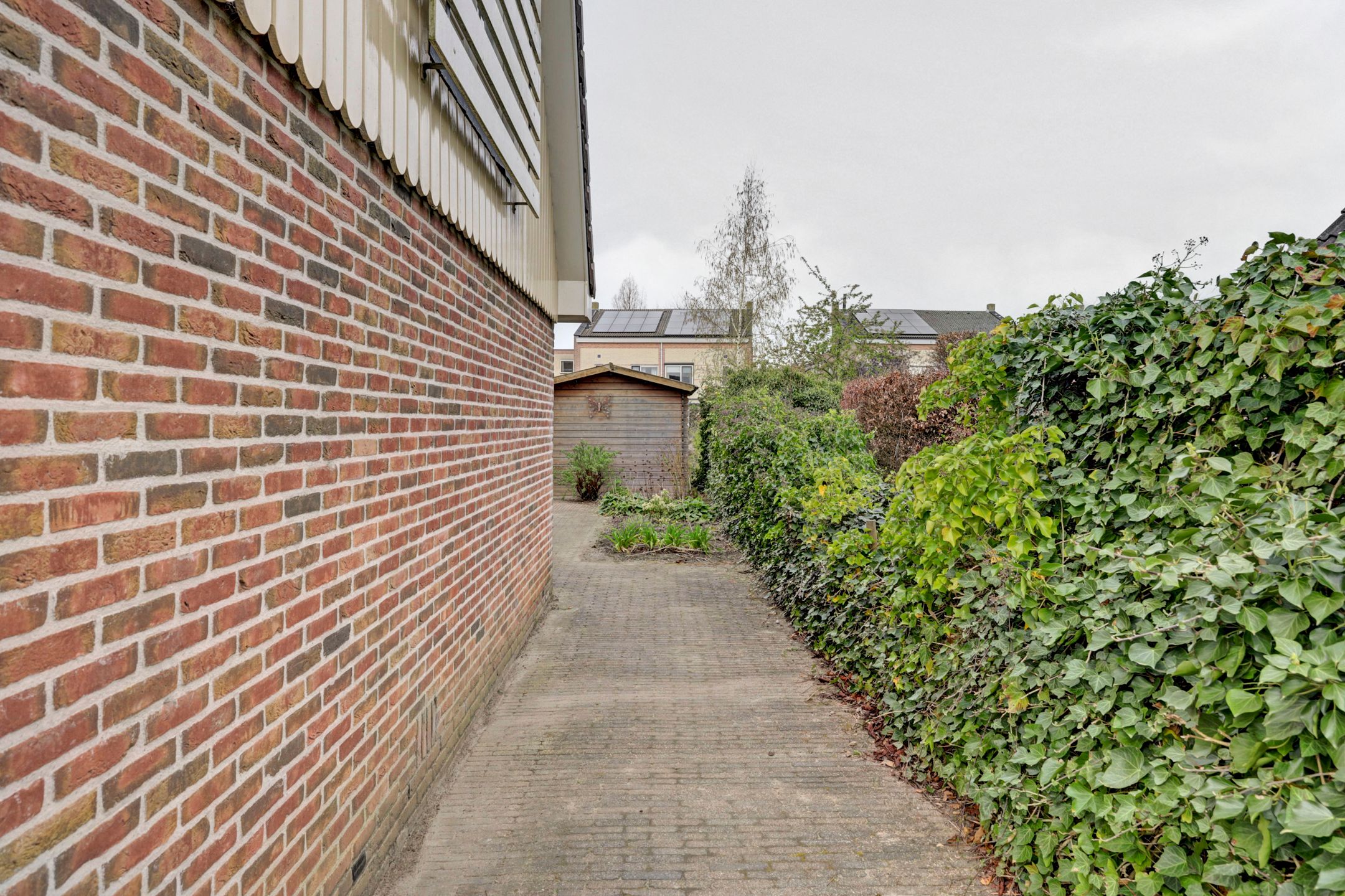 Foto 45 van de Enk 8