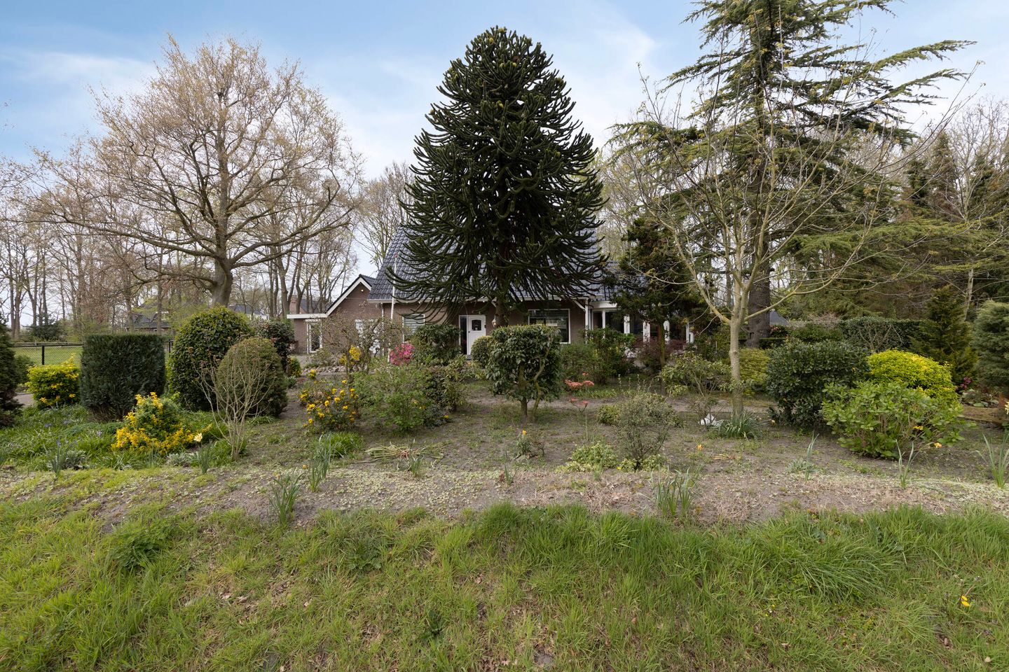 Photo 55 of Kinderstraatje 1