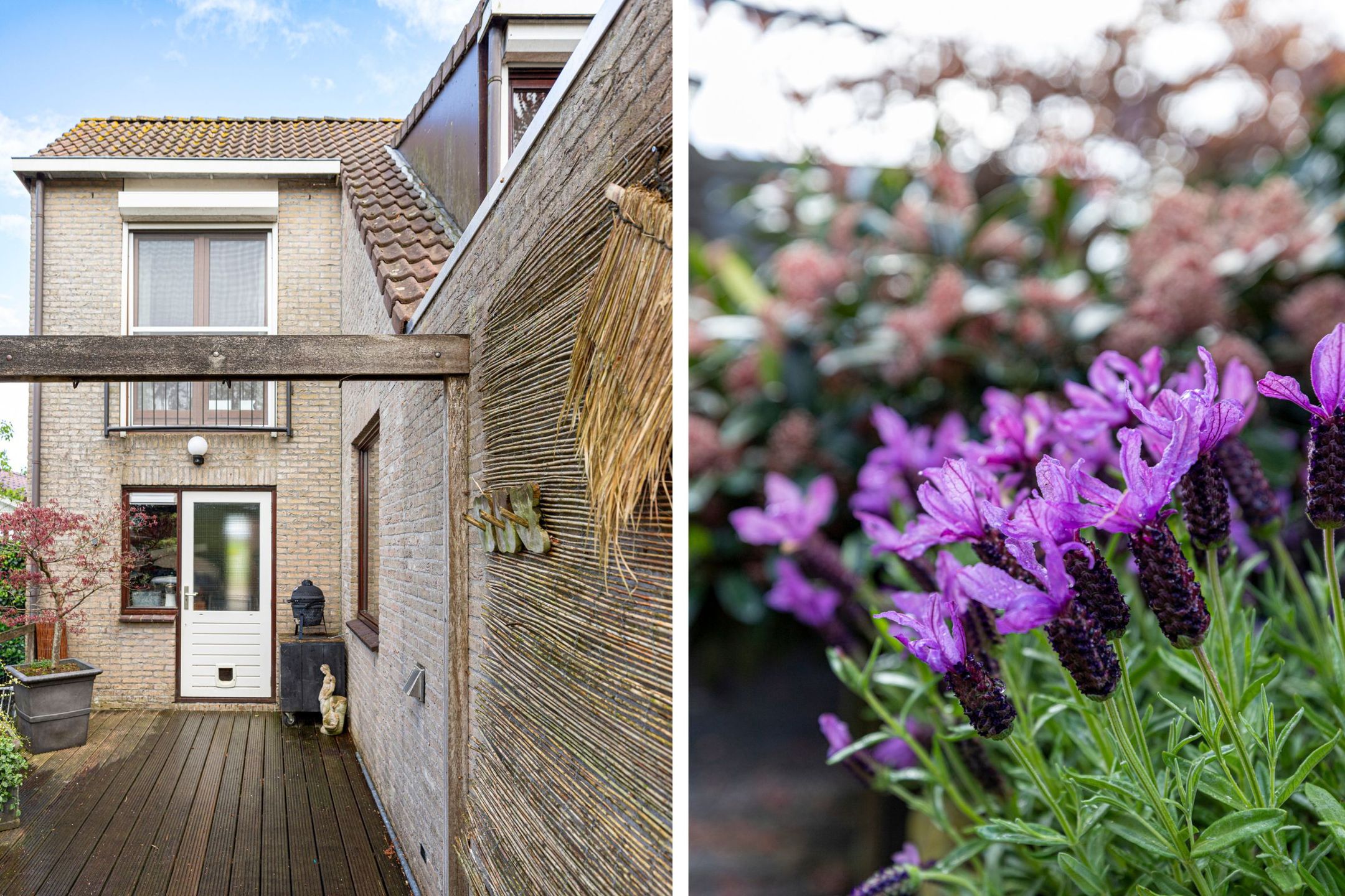 Foto 60 van Mutsaershof 13