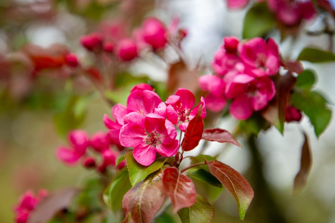 Foto 62 van Veenweg 5