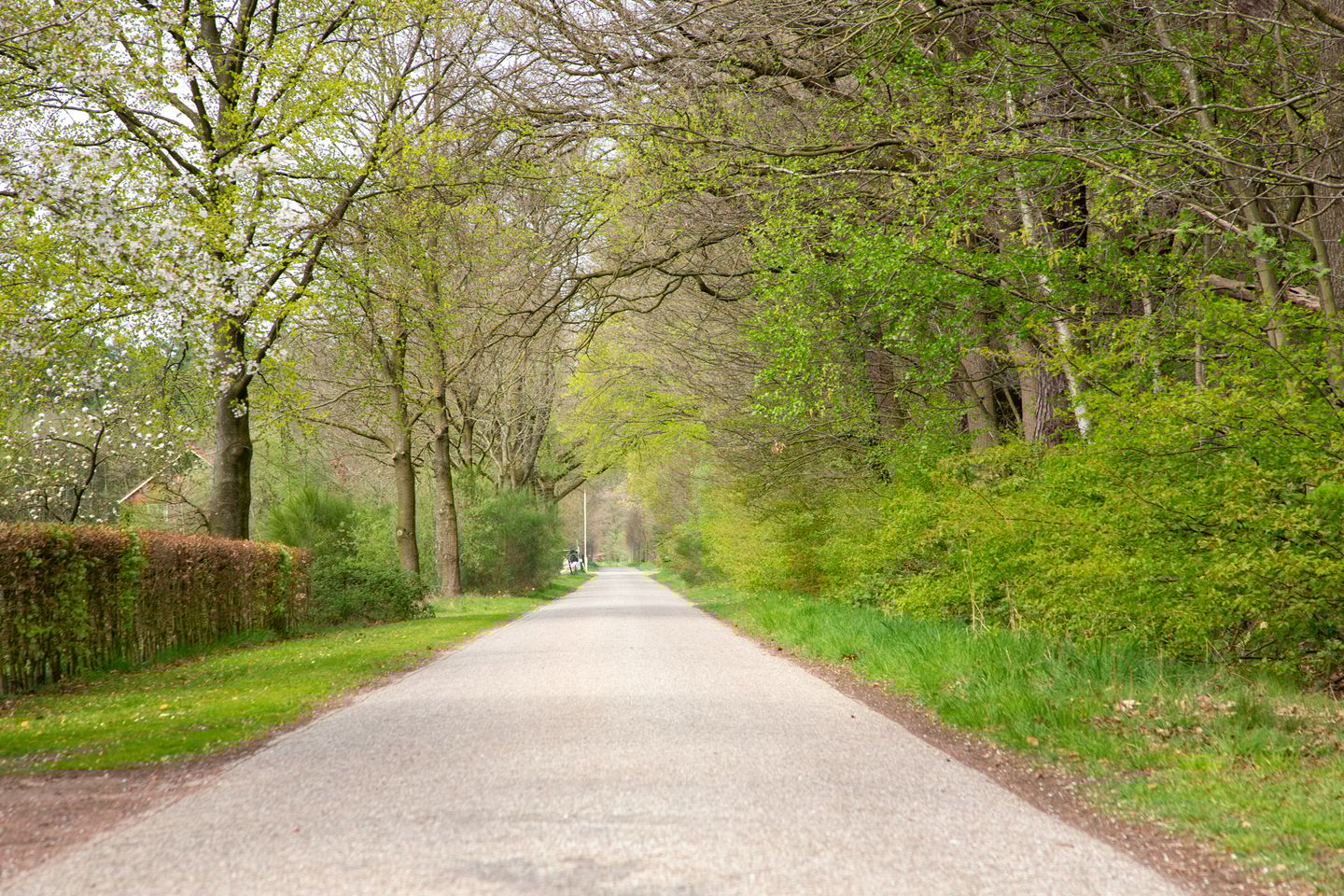 Foto 74 van Veenweg 5