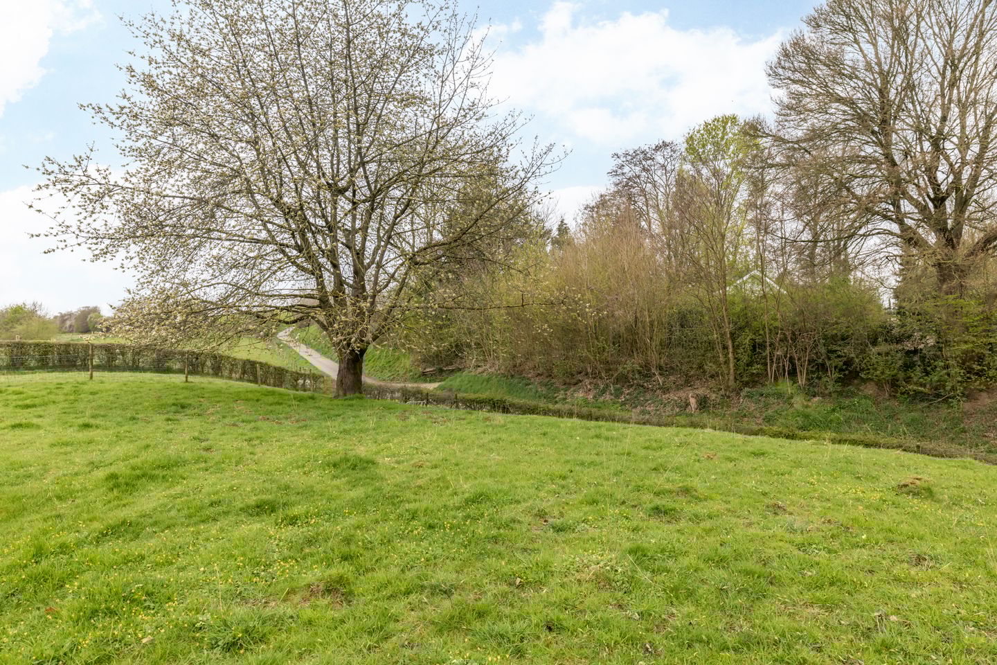 Foto 29 van Grachtstraat 24