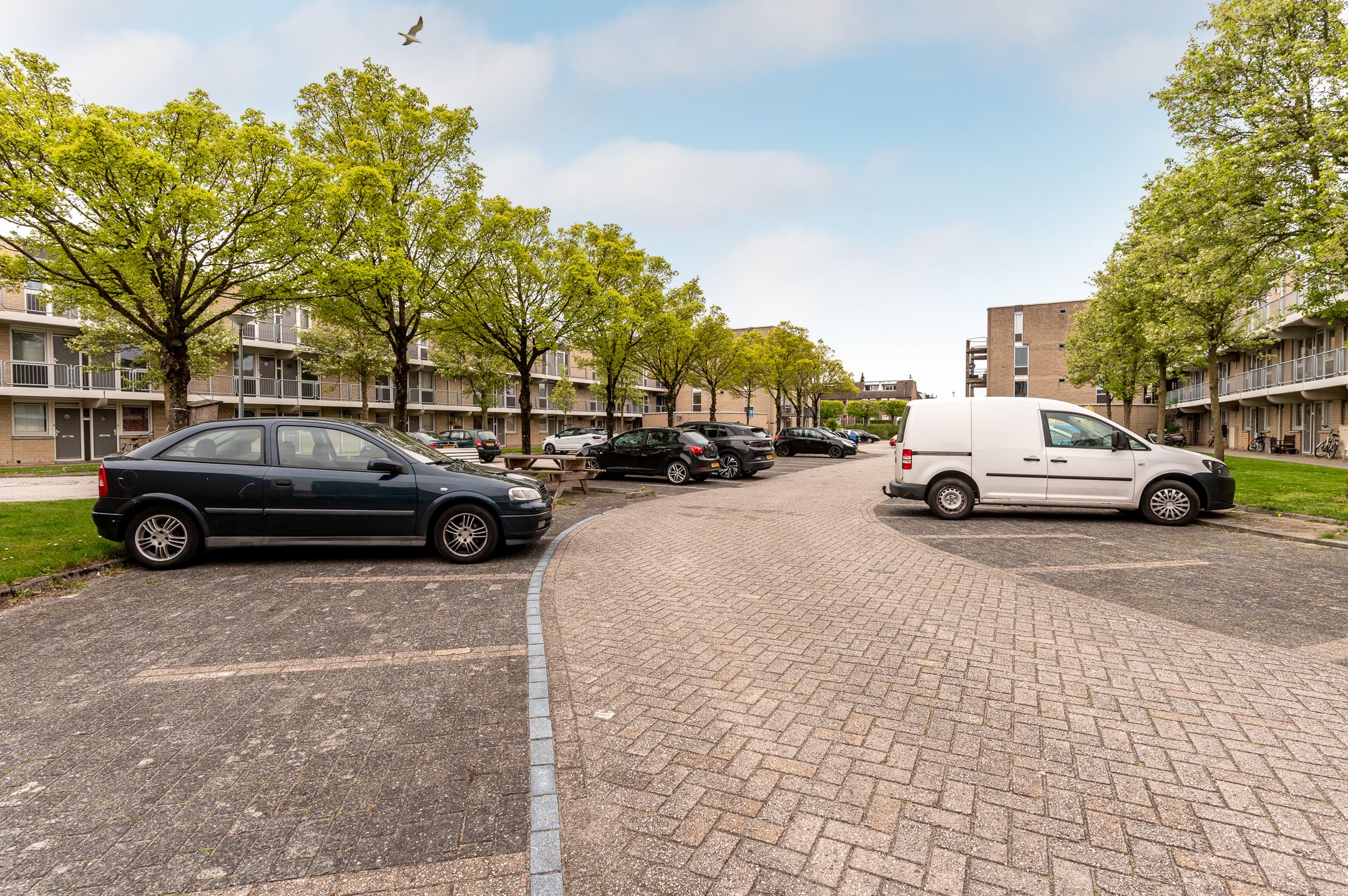 Photo 33 of Agorabaan 23