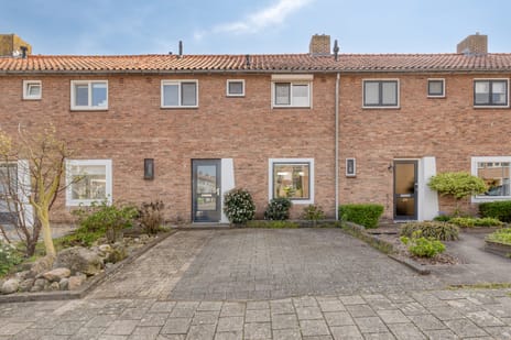 undefined main image