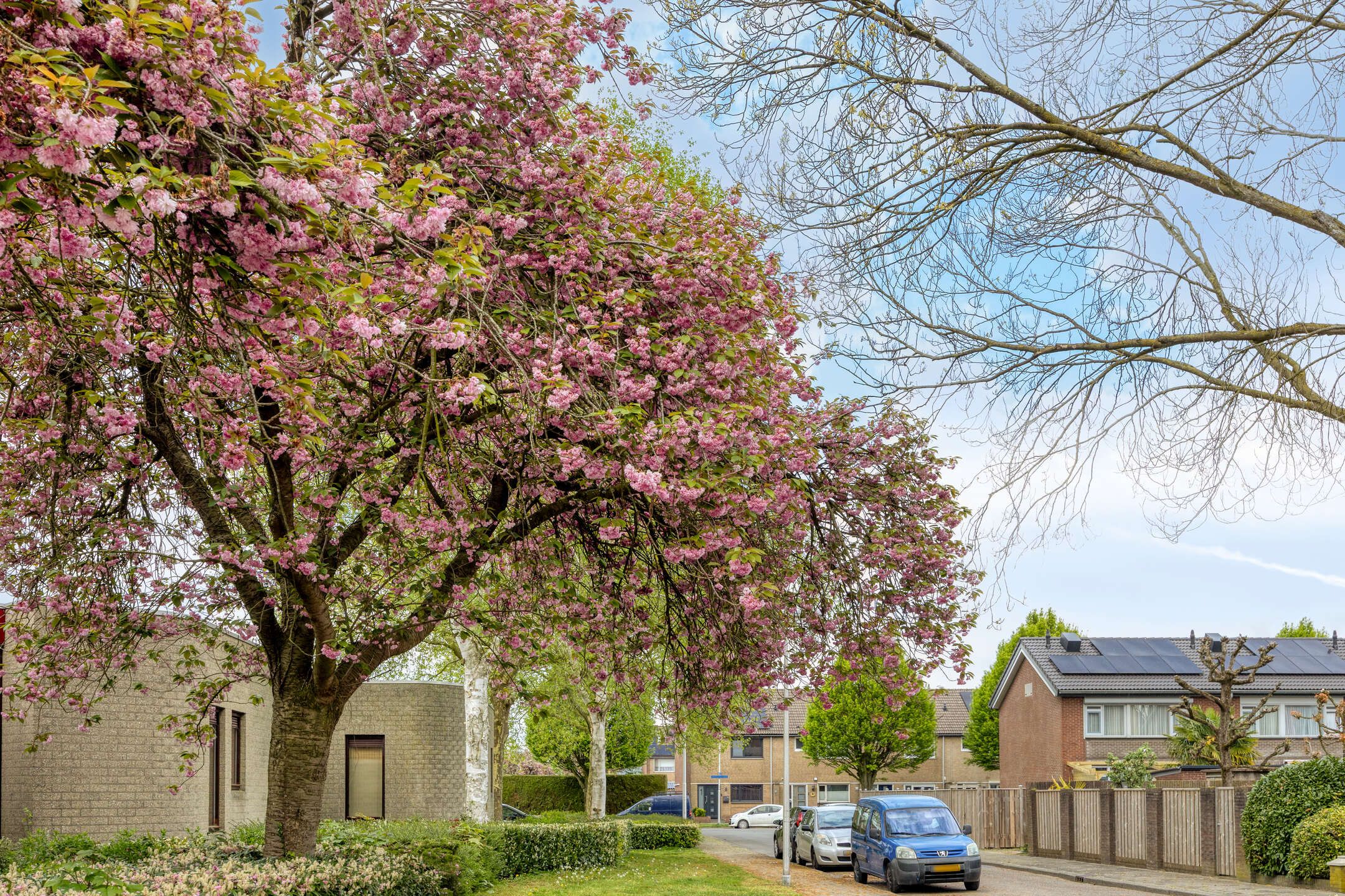 Spacious semi-detached house with garage and five bedrooms in Drunen Venne-Oost — 36